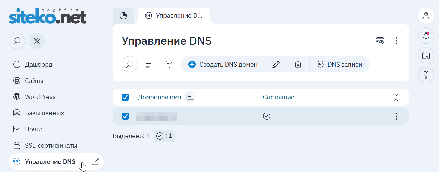 Раздел «Управление DNS» в панели: список DNS-доменов