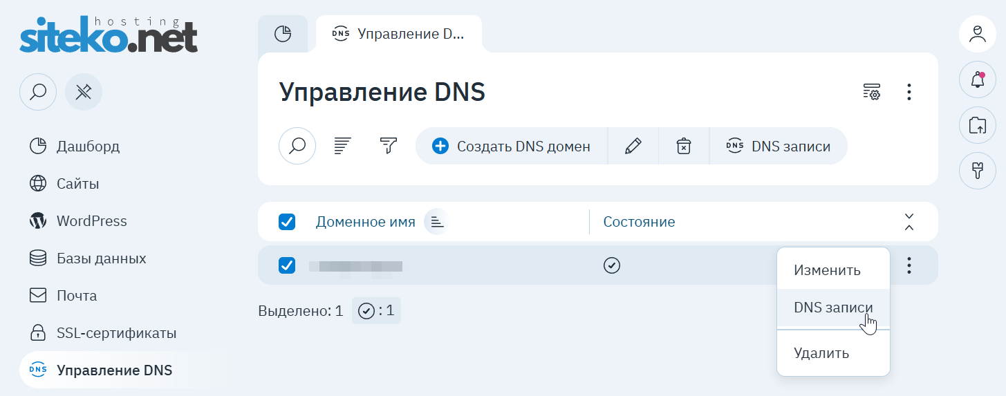 Меню домена: пункт «DNS записи»