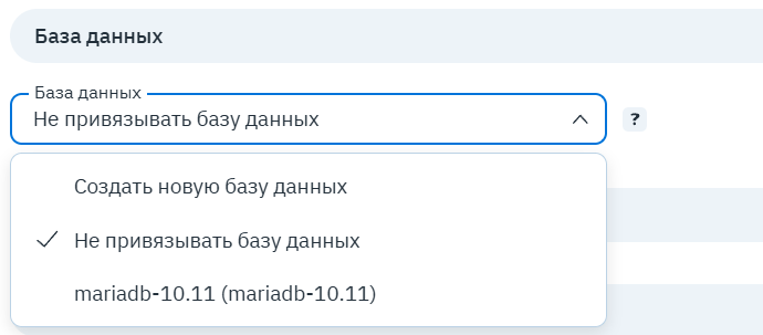 Поле «База данных»: создать новую, не привязывать или выбрать существующую